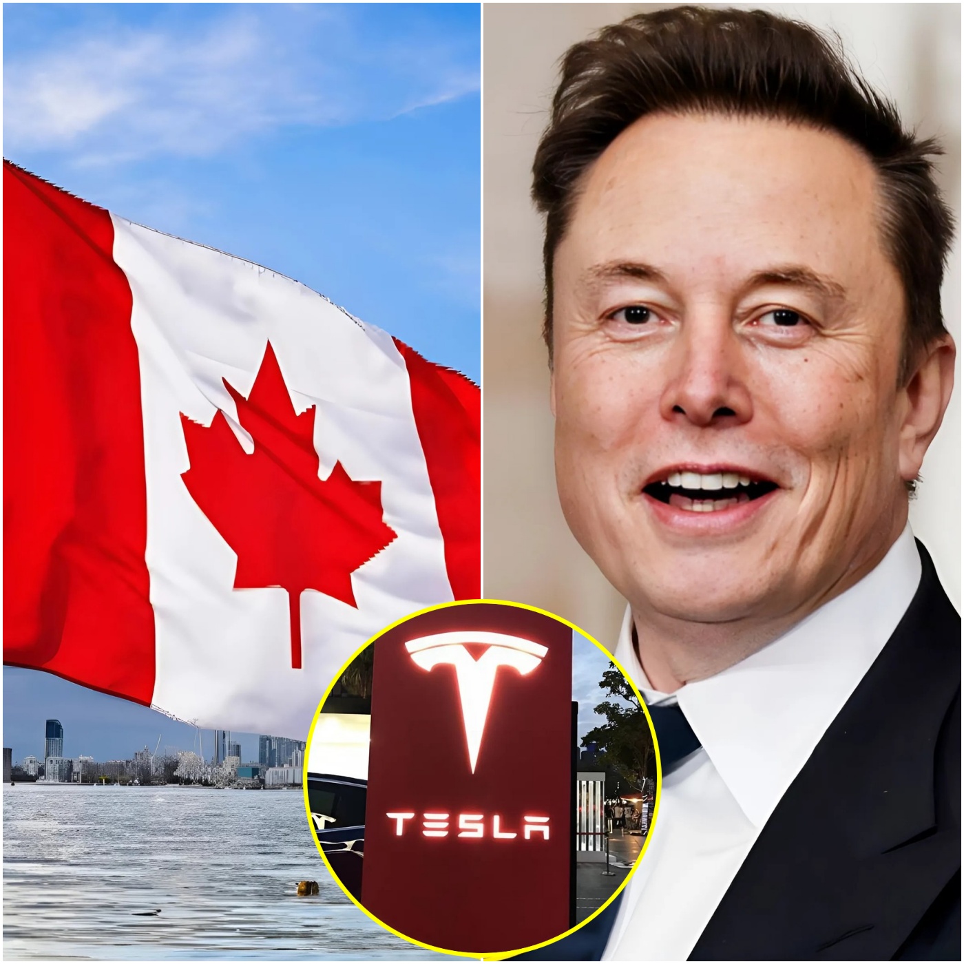 Elon Musk'S Bold Move: Shutting Down Tesla Dojo - bvdqs47